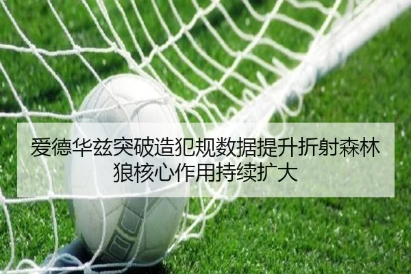 爱德华兹突破造犯规数据提升折射森林狼核心作用持续扩大
